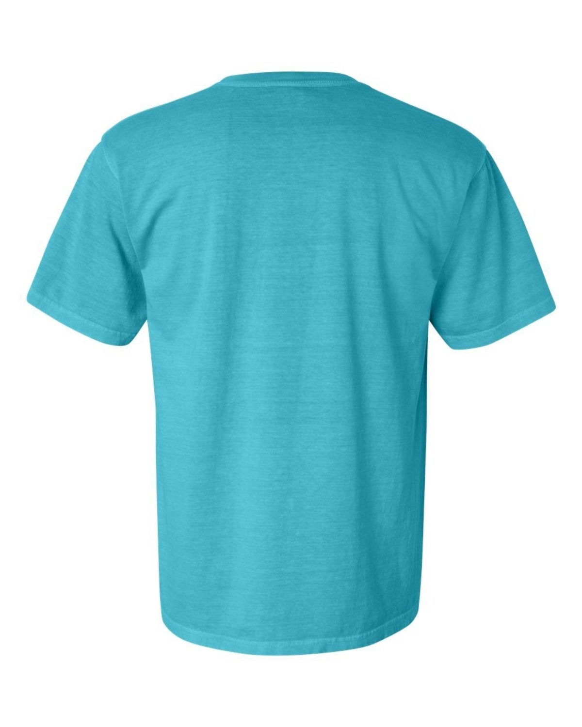 Back view of a plain t shirts, short-sleeved, blue Color