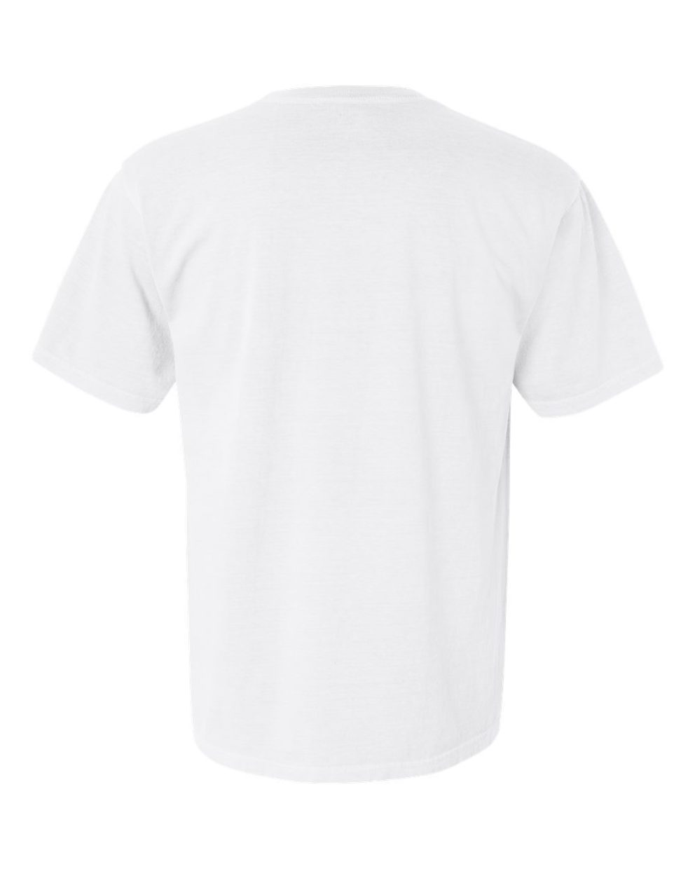 Back view of a plain white, short-sleeved, crew-neck t-shirt