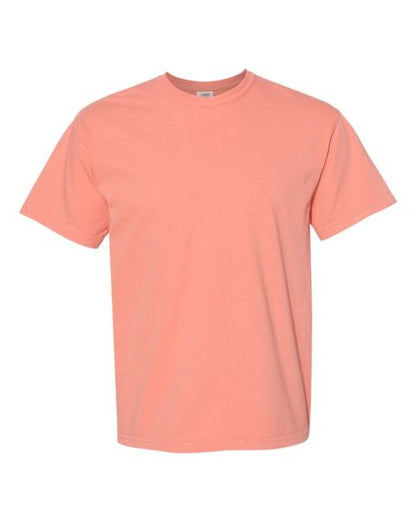 short-sleeved, crew-neck t-shirt in a salmon or terra cotta color